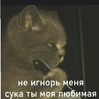 Sticker Больше @sbornik_stickers1 - 9