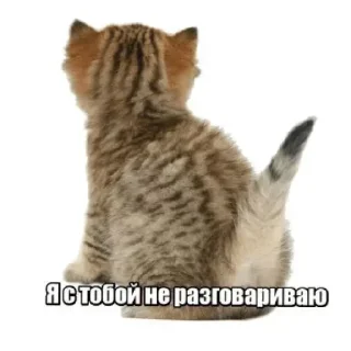 Sticker Больше @sbornik_stickers1 - 8