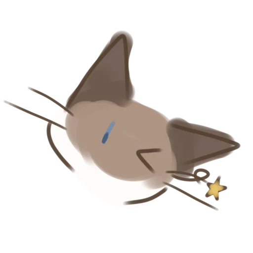 spacecraft transport plane