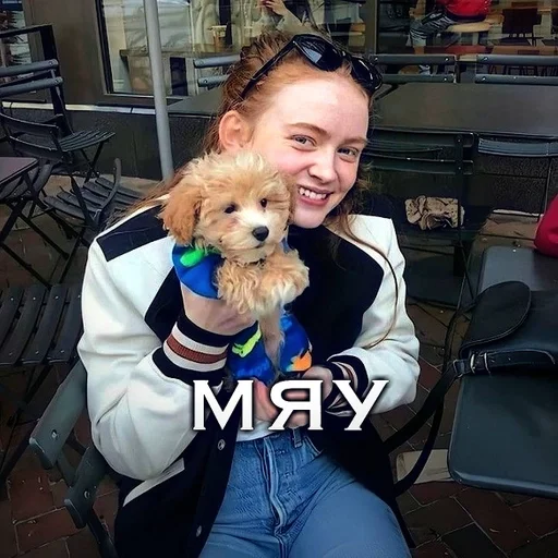 person dog breed pet