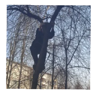 Стикер мило - 8