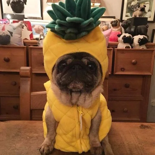 Стикер milostipack - 1