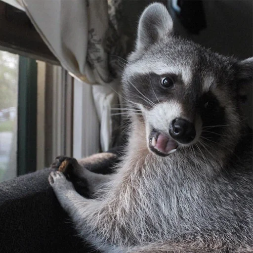 Стикер milostipack - 1