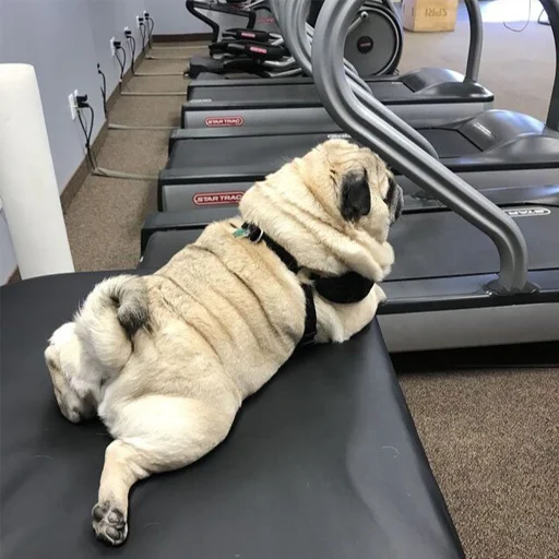 Стикер milostipack - 1