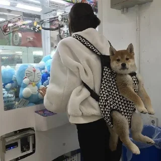 Sticker Милости пак :3 - 1