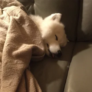 Sticker Милости пак :3 - 10