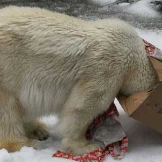 Sticker Милости пак :3 - 0