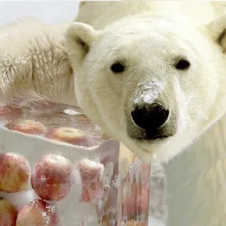 Sticker Милости пак :3 - 4