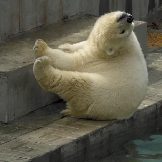 Sticker Милости пак :3 - 7