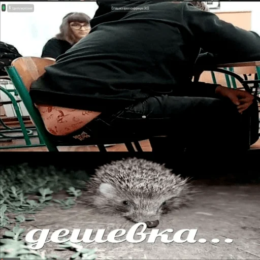 Стикер будни панков - 5