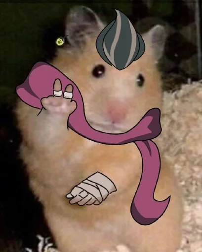 mammal hamster animal
