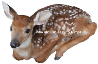 Стикер mimemamo - 4