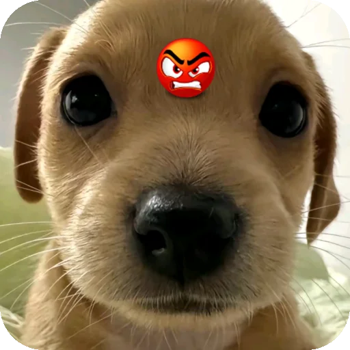 Sticker mimimi331 - 1