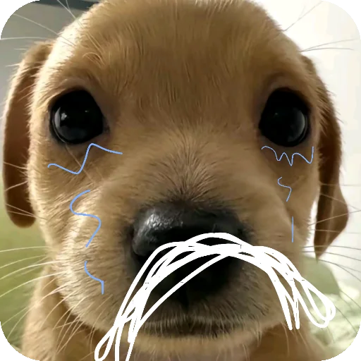 Sticker mimimi331 - 1