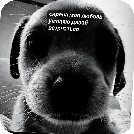 Стикер mimimi331 - 1