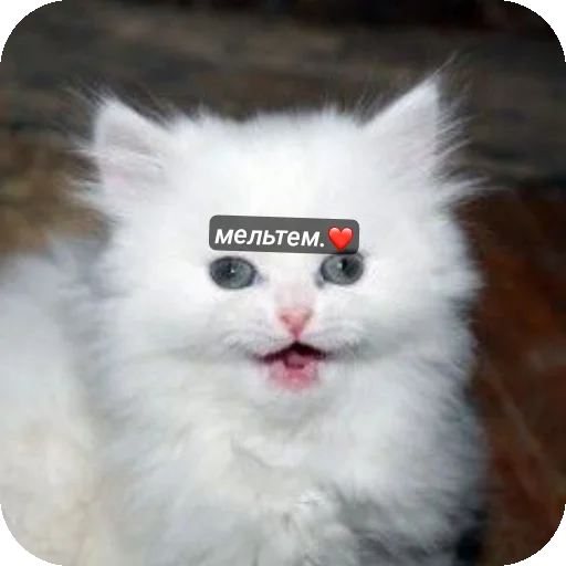 Стикер mimimi331 - 1