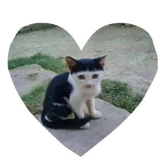 Стикер мимими by @shaluniahaka - 4