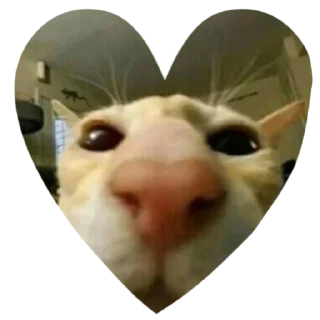 Стикер мимими by @shaluniahaka - 7