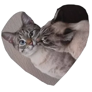 Стикер мимими by @shaluniahaka - 3