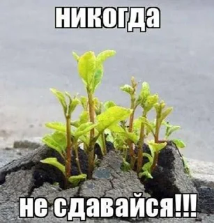 Sticker @mimzix mimzi_mix - 10