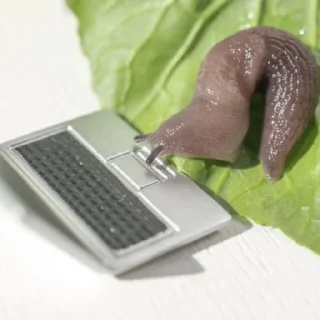 Sticker @mimzix mimzi_mix - 1