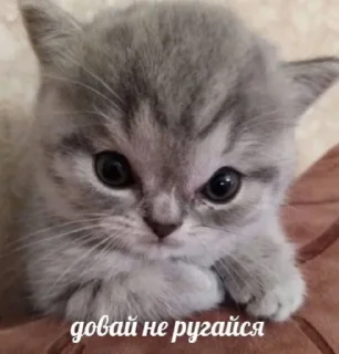 Sticker @mimzix mimzi_mix - 8