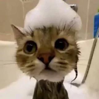 Sticker миндаль - 8