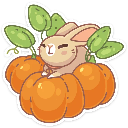 fruit clipart drawing