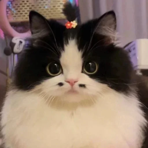 Стикер mine_norm_pak - 1