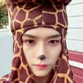 Sticker минхо краш - 8