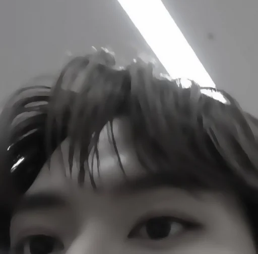 человеческое лицо бровь ресница