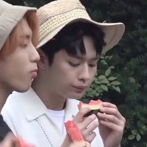 Стикер папа кот это минхо @lovely_skz - 10