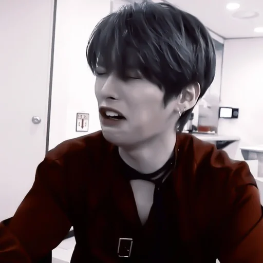 Человек человеческое лицо комнатный