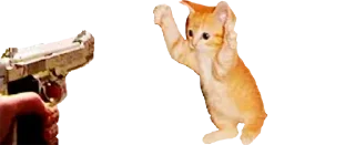 Sticker MiniCats - 9