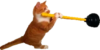 Sticker MiniCats - 3