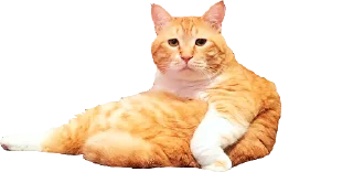 Sticker MiniCats - 0