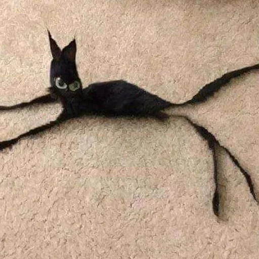 mini cats @anime4_arts - 