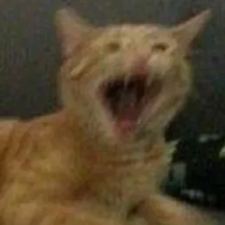 Sticker mini cats @anime4_arts - 6