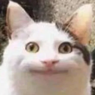 Sticker mini cats @anime4_arts - 10