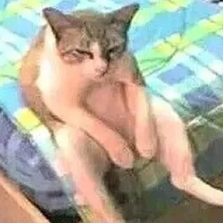 Sticker mini cats @anime4_arts - 4