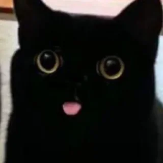 Sticker mini cats @anime4_arts - 7