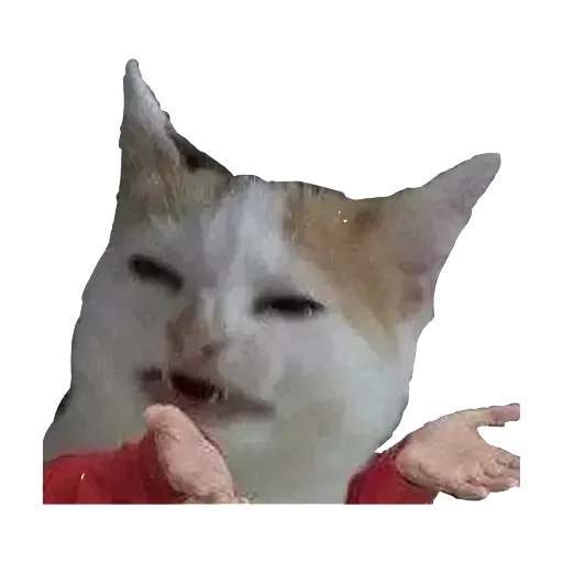 Стикер El pack de mininos definitivo - 5