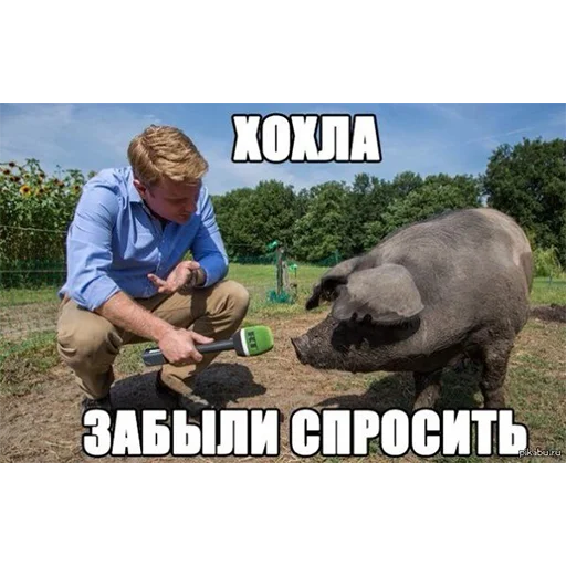 Sticker MiniMax's Pack - 0