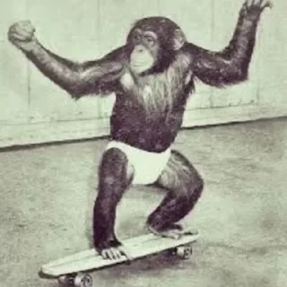 Sticker minority shareholders - 3