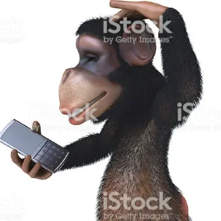 Sticker minority shareholders - 8