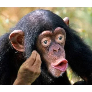 Sticker minority shareholders - 7