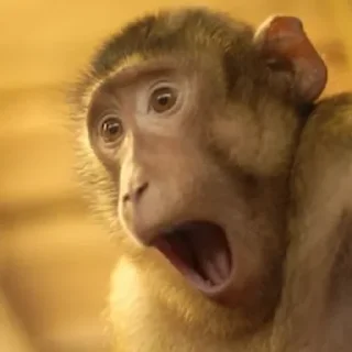 Sticker minority shareholders - 5