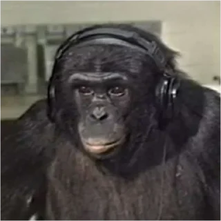 Sticker minority shareholders - 1