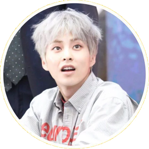 Sticker @jonafzan Minseok Xiumin - 11
