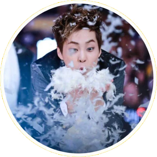 Sticker @jonafzan Minseok Xiumin - 3